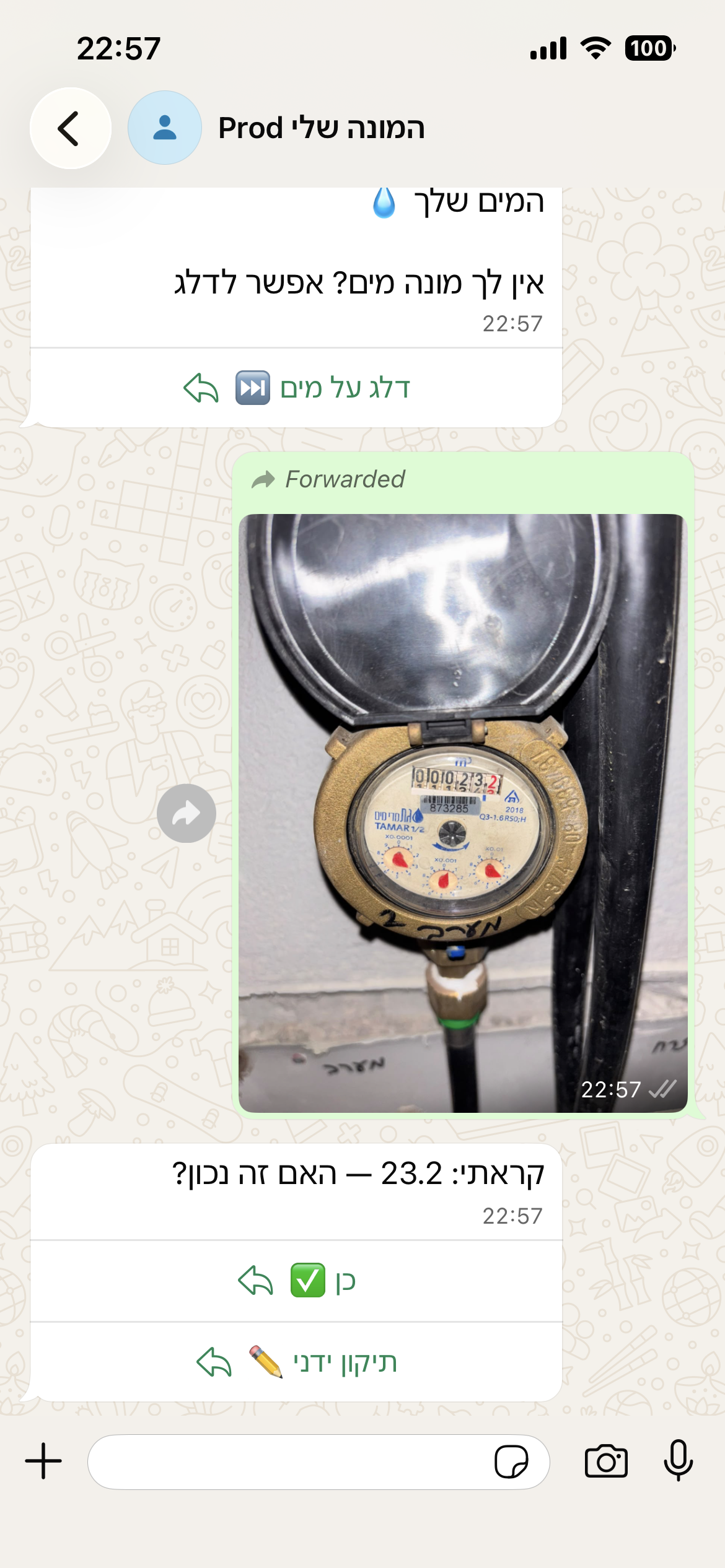דוח אקסל